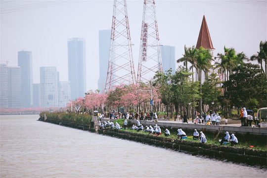 珠海横琴花海长廊钓鱼和沿岸景色