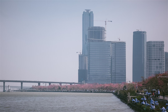 珠海横琴花海长廊钓鱼和沿岸景色