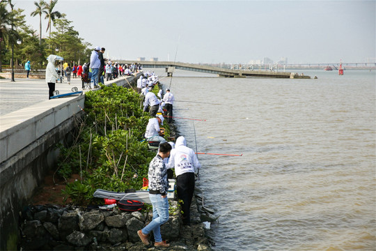 珠海横琴花海长廊钓鱼和沿岸景色