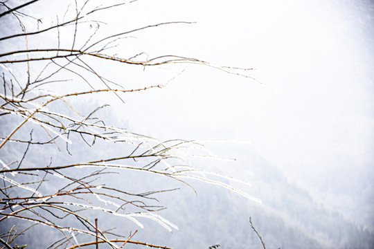 山野雪景