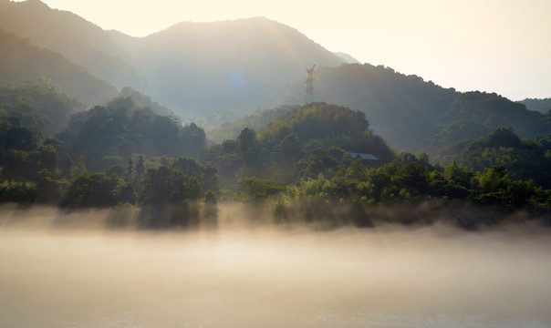 雾里山林