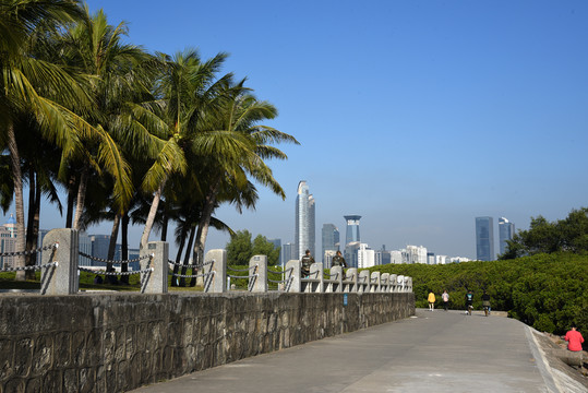 深圳風光