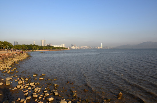 深圳湾海滨生态公园