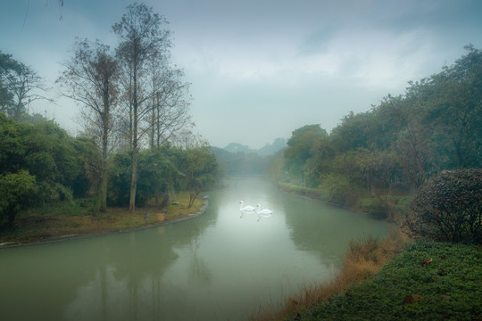 雾中河