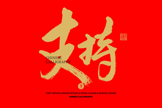 支持