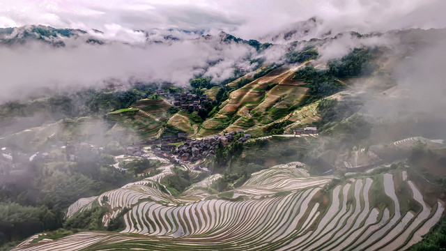 雾锁梯田