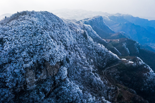 冬季雪景