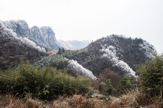 冬季雪景