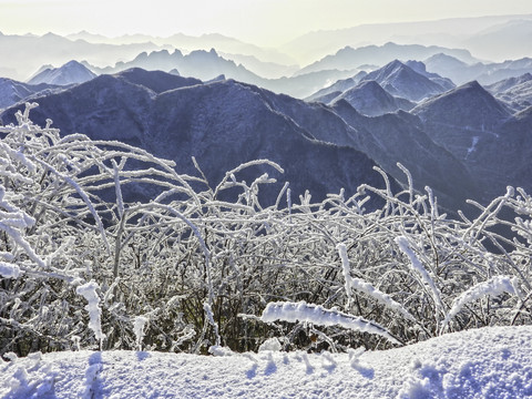 五峰独岭雪景