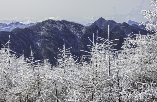 五峰獨(dú)嶺雪景