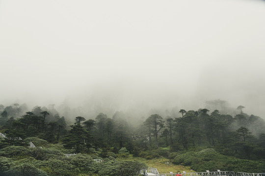 苍山风景