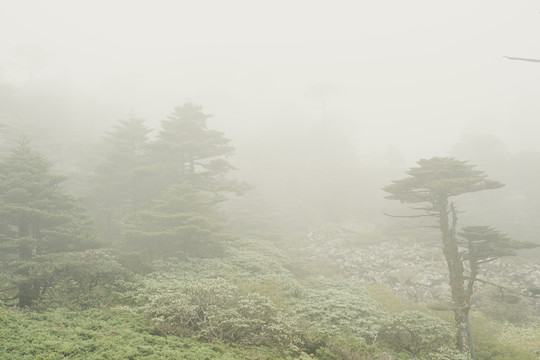 蒼山