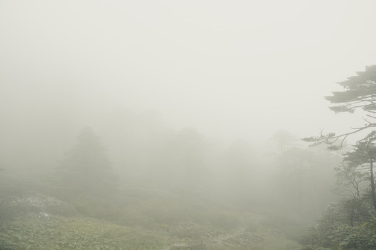 蒼山霧凇