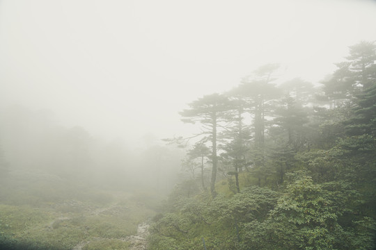 蒼山霧凇