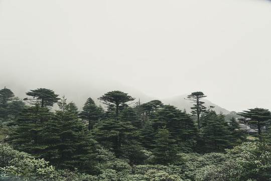 苍山风景