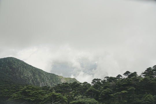 苍山风光