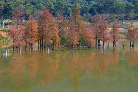 水彬