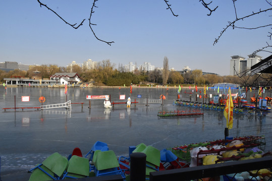北京紫竹院公园冰场