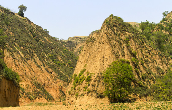 黄土高原