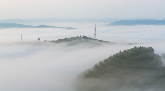 雾海