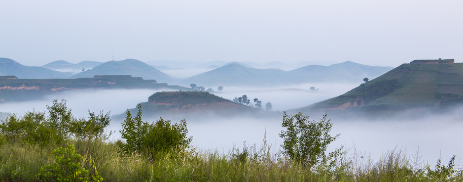 雾景