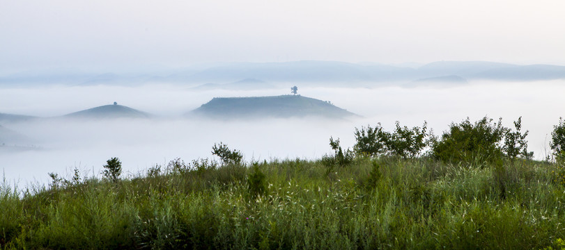 高原雾景