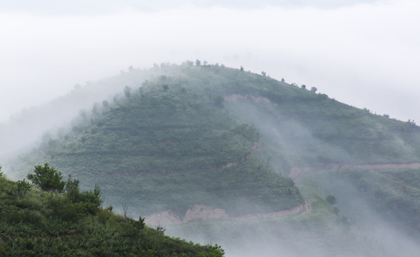 雾景