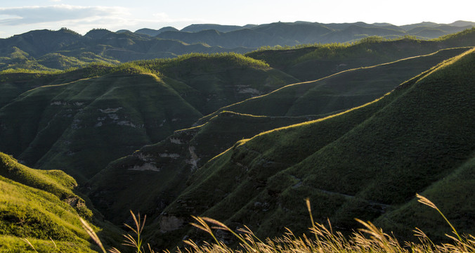 黄土高原地貌