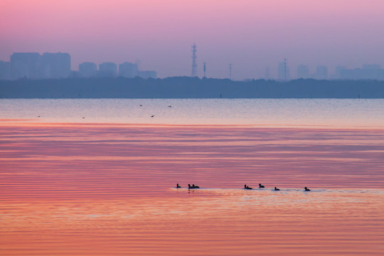 阳澄湖