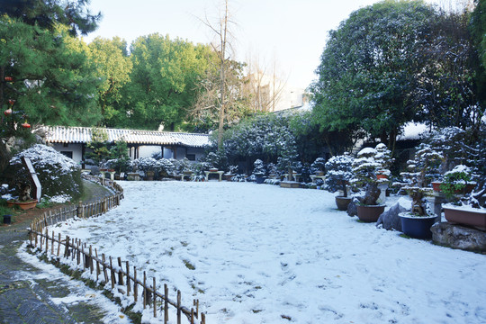 盆景园雪景