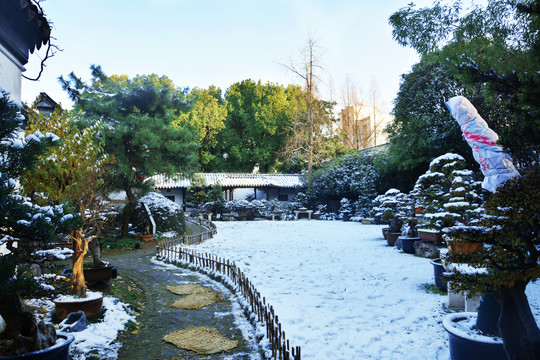 瞻园雪景