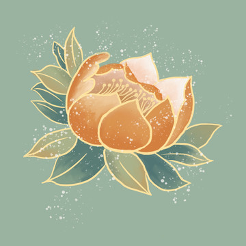 牡丹國潮風格插畫