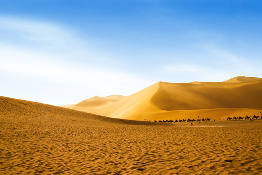 南天下的大沙漠
