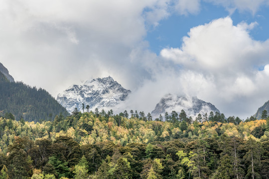 波密雪山