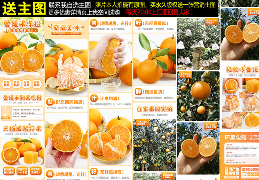 愛媛詳情