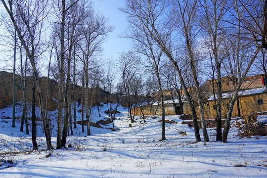 雪后村庄