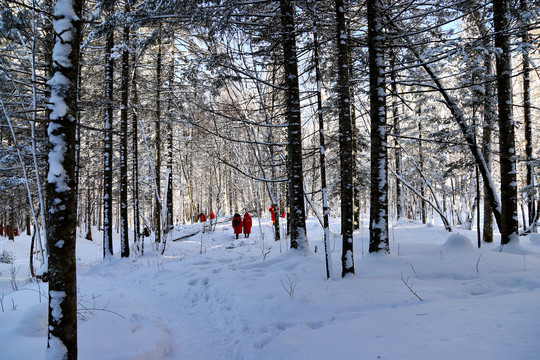 雪乡风光