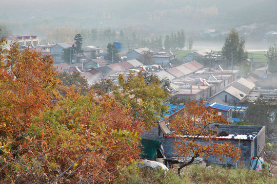 山村秋色