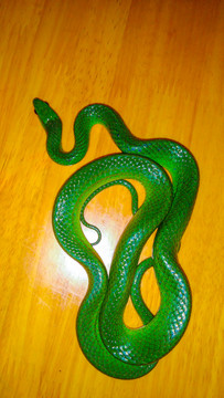 青竹蛇