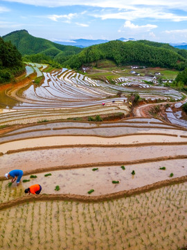 上堡梯田