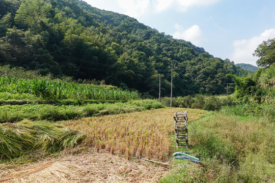 秋天的田野