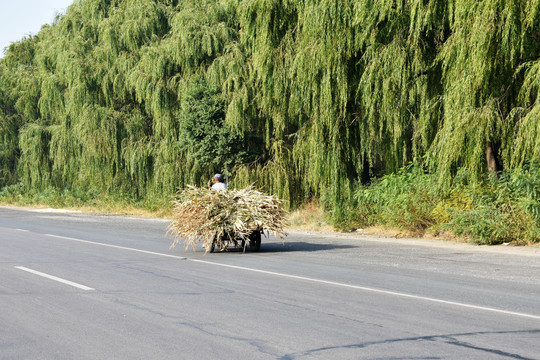 秋收景象