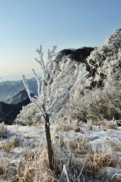 五峰独岭雪景