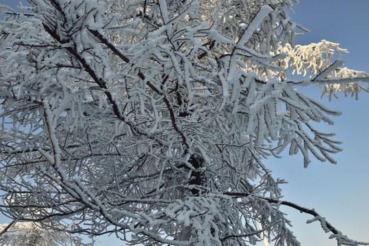 五峰独岭雪景