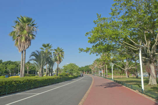 厦门环岛路非机动车道景观