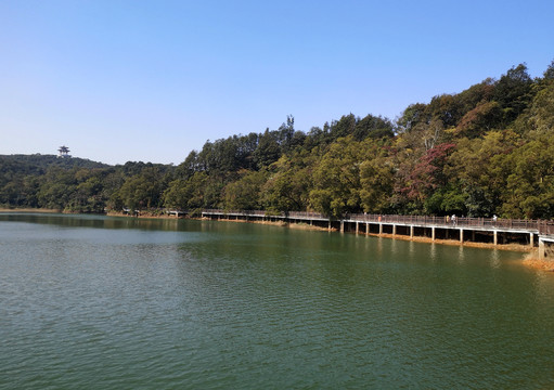 圭峰山天鹅湖