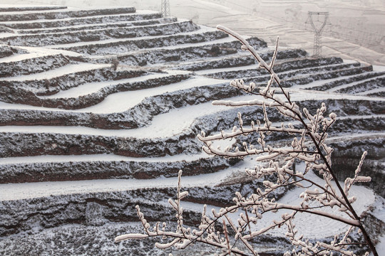 梯田雪景