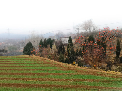 田野风景