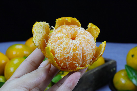 清香蜜橘