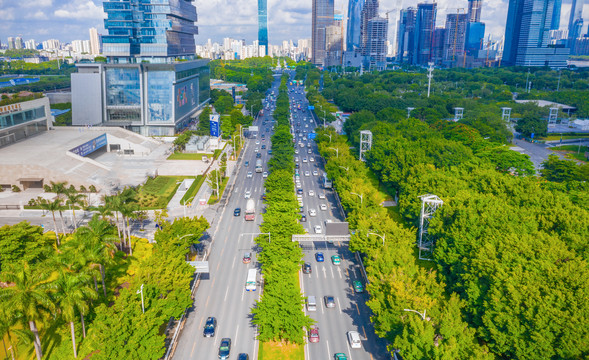 广州市还主裙琶洲大道城市风光